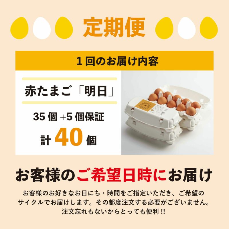 定期便】明日（赤たまご）35個+5個保証（計40個） | ココテラスの